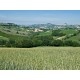 Search_OLD FARMHOUSE WITH SEA VIEW FOR SALE IN LE MARCHE Country house to restore with panoramic view in central Italy in Le Marche_9